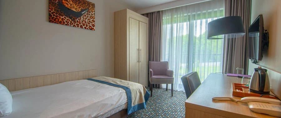 Pokój jednoosobowy Superior w Bristol Art & Medical SPA w Busku-Zdroju.